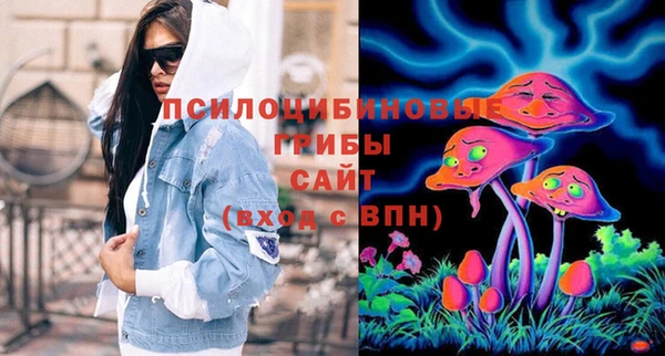 не бодяженный Горнозаводск