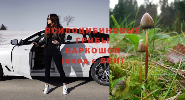 стафф Горно-Алтайск