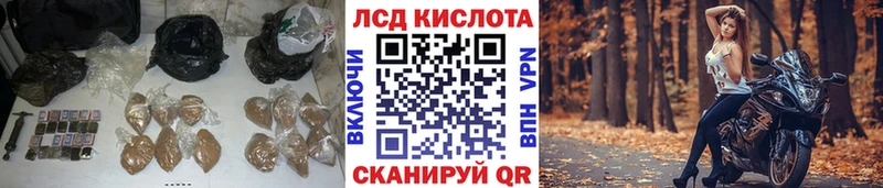 купить наркоту  Люберцы  LSD-25 экстази ecstasy 
